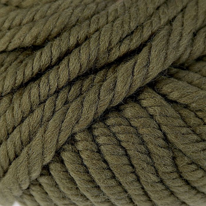 Пряжа "Pure wool plus" 100% шерсть 30м/100гр (10267)