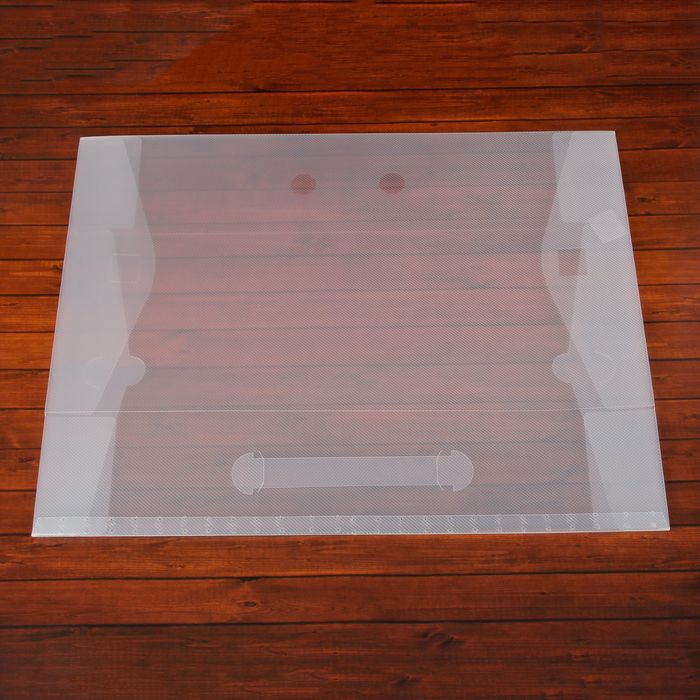 Короб для хранения обуви, 30 × 52 × 11 см, с ручкой, прозрачный