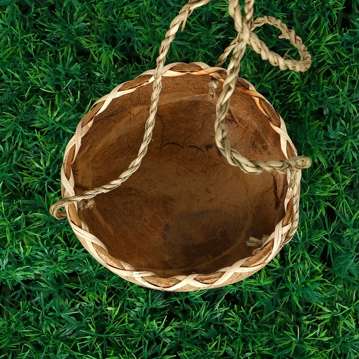 Кашпо «Африка», подвесное, D=12 см, Н=8 см, кокос