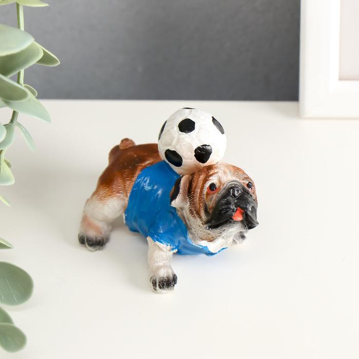 Сувенир полистоун "Английский бульдог с футбольным мячом" 6,5х8х5 см