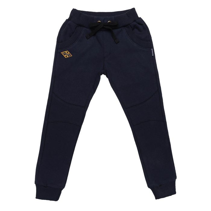 Брюки для мальчика, рост 104 см, цвет синий ШР429