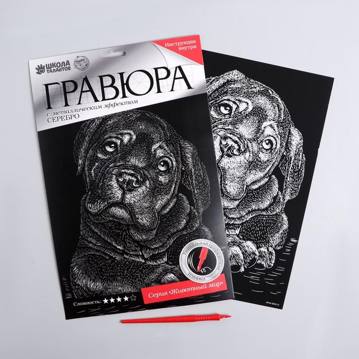 Гравюра "Щенок" с металлическим эффектом А4 - серебро + штихель
