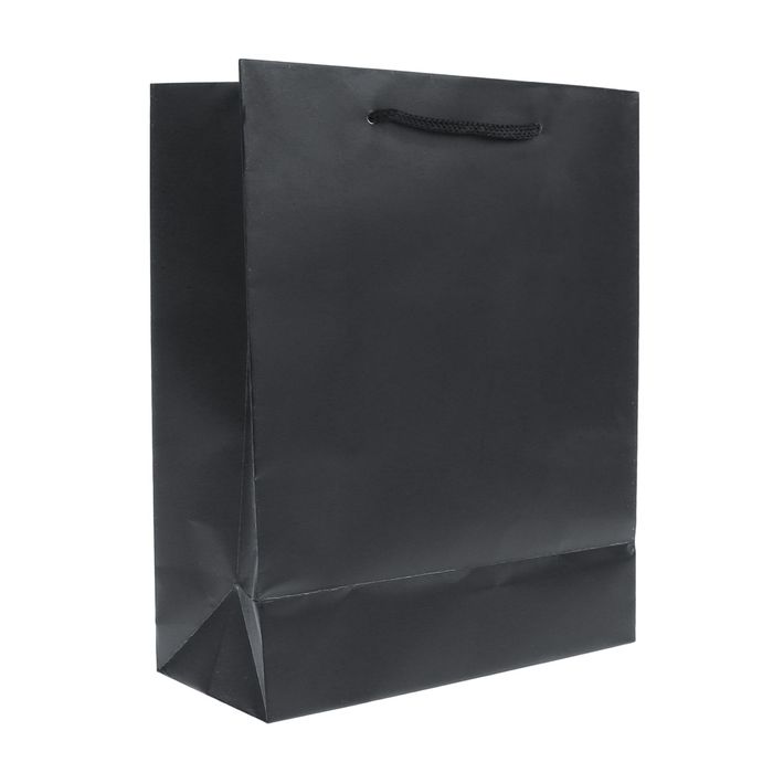 Пакет подарочный, чёрный, 14 х 8 х 18 см