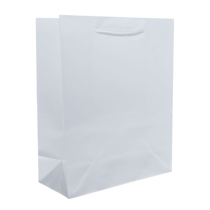 Пакет подарочный, белый, 18 х 8,5 х 21 см