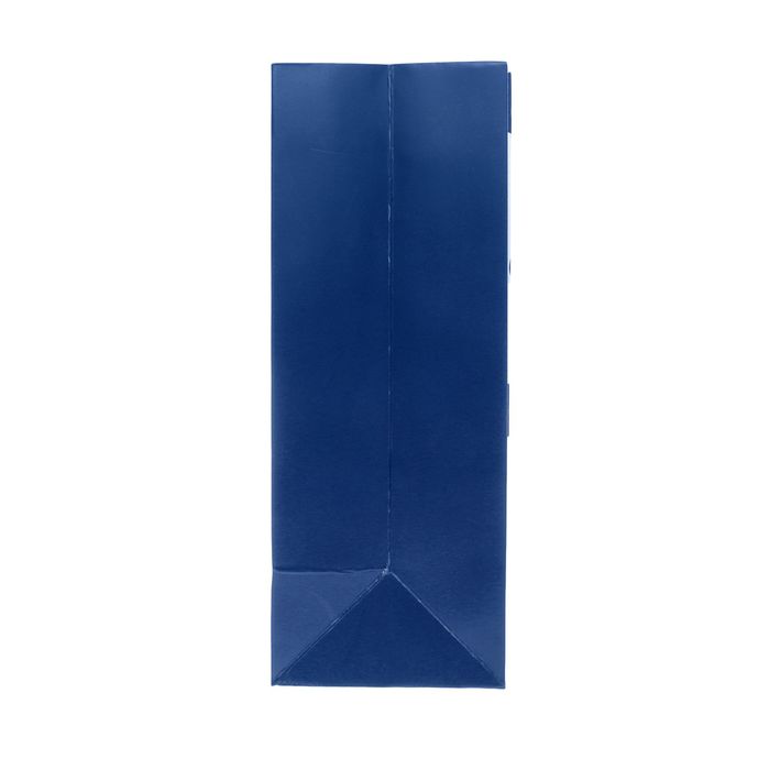 Пакет подарочный "В горошек", люкс, 21 х 10 х 26 см