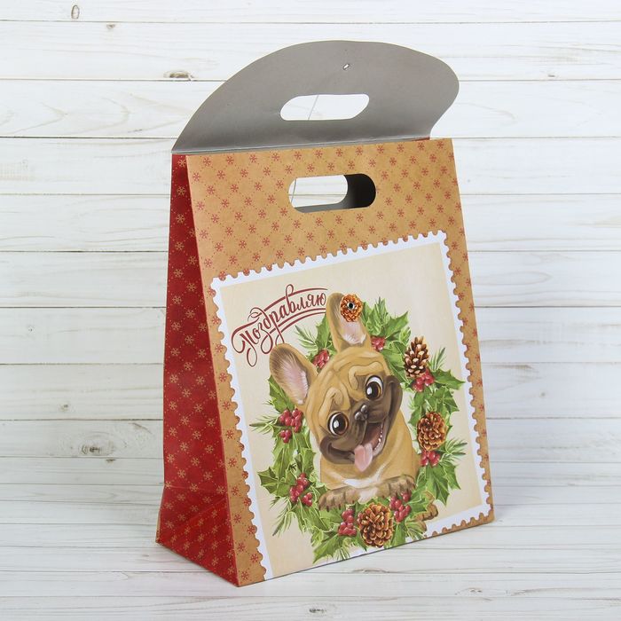 Пакет подарочный «Поздравляю!», 26 × 32 × 12 см