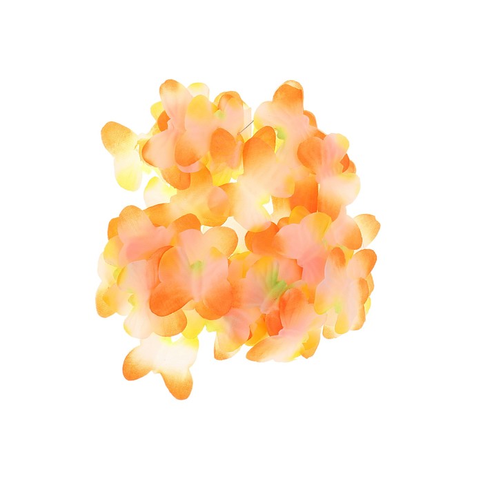 Лепестки роз "Бабочки", радуга