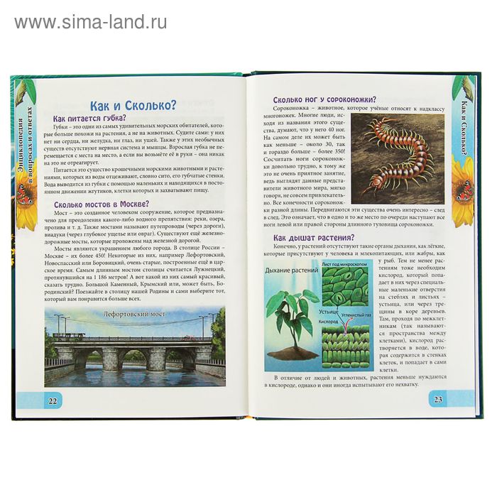 

Энциклопедия в вопросах и ответах