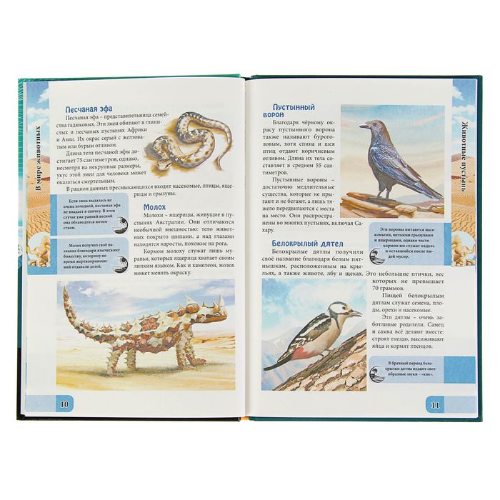 Энциклопедия. В мире знаний "В мире животных"