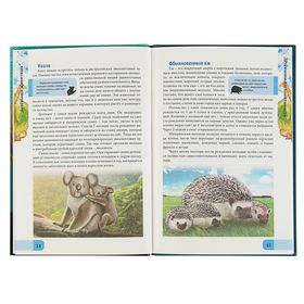 

Энциклопедия «Детёныши животных»