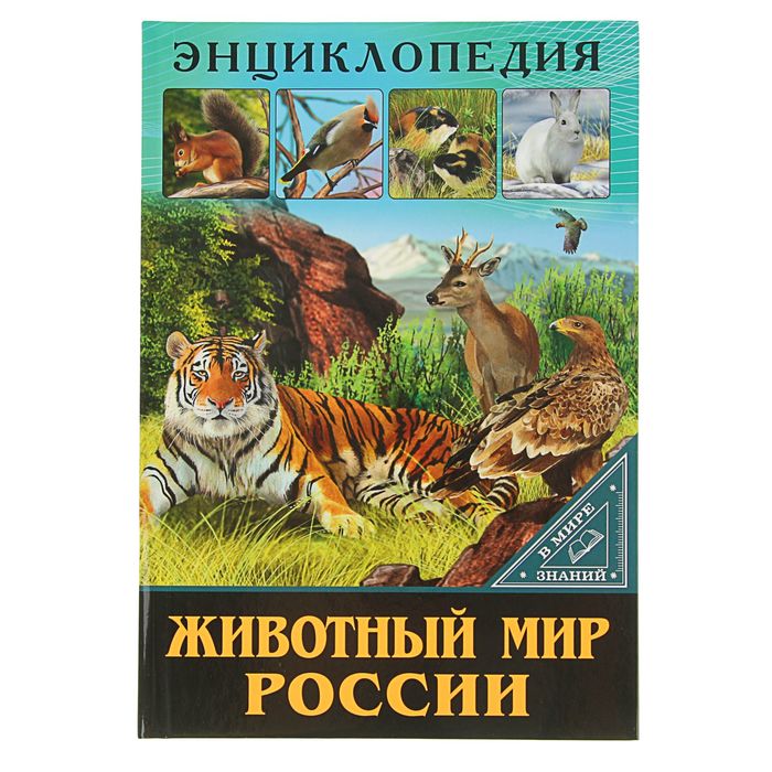 Энциклопедия животных с картинками