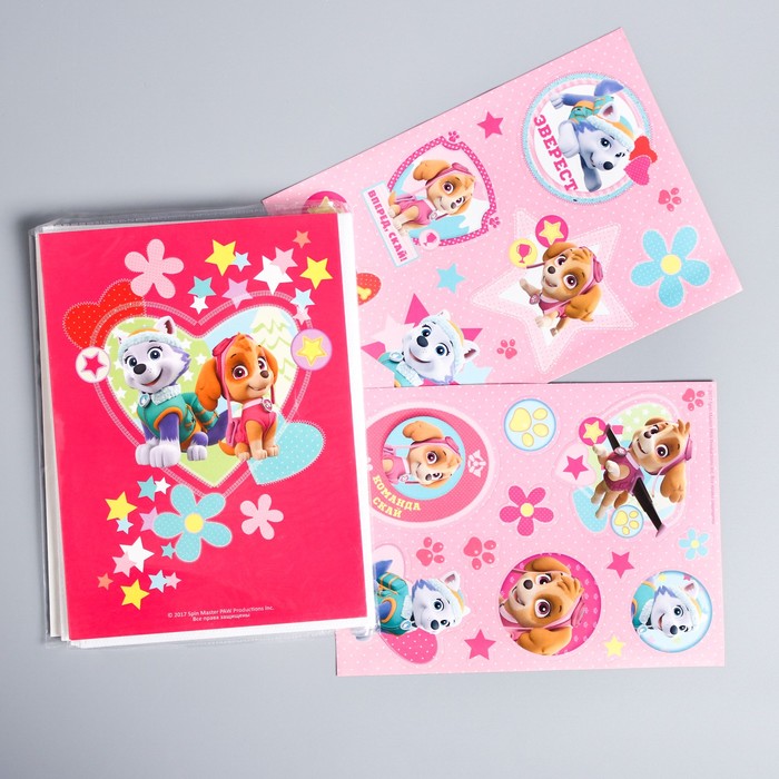 Щенячий патруль. Подарочный набор фоторамка + Щенячий патруль. Фотоальбом 36 листов "Скай и Эверест"