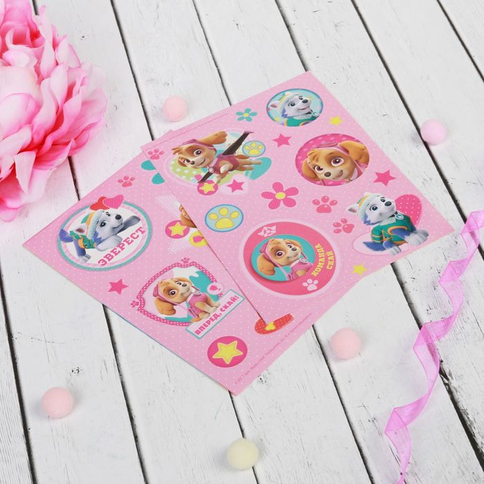 Щенячий патруль. Подарочный набор фоторамка + Щенячий патруль. Фотоальбом 36 листов "Скай и Эверест"