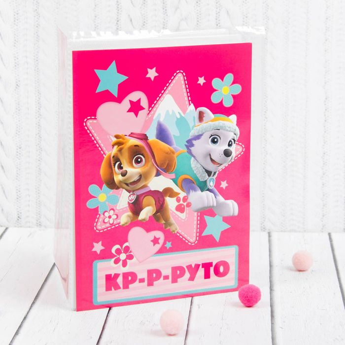 Щенячий патруль. Подарочный набор фоторамка + Щенячий патруль. Фотоальбом 36 листов "Скай и Эверест"