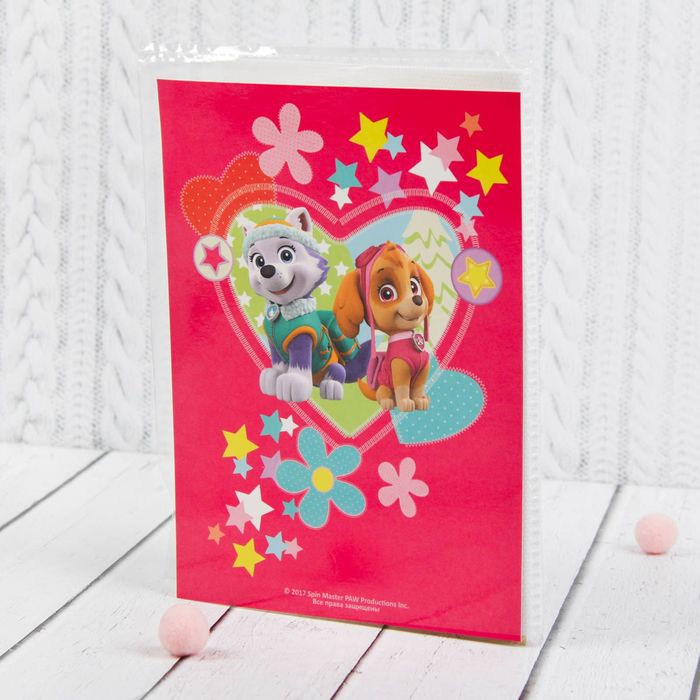 Щенячий патруль. Подарочный набор фоторамка + Щенячий патруль. Фотоальбом 36 листов "Скай и Эверест"