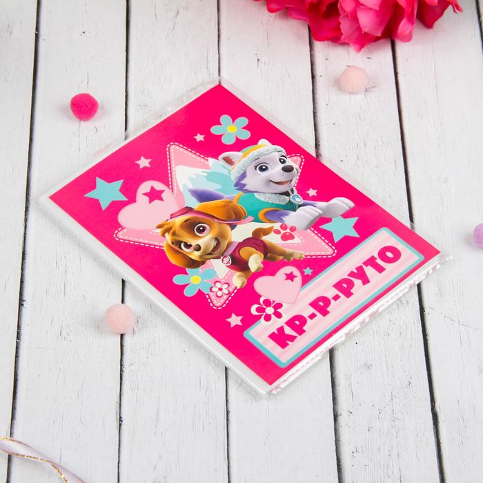 Щенячий патруль. Подарочный набор фоторамка + Щенячий патруль. Фотоальбом 36 листов "Скай и Эверест"