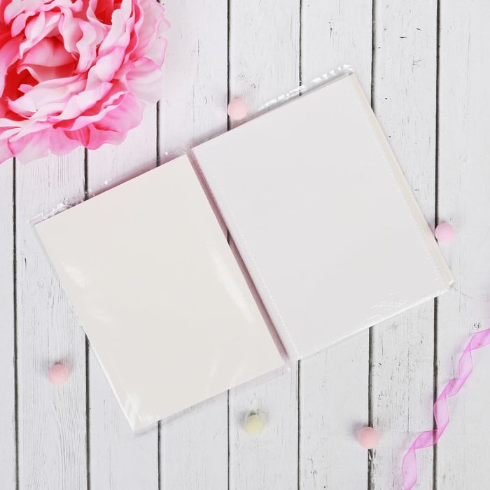 Щенячий патруль. Подарочный набор фоторамка + Щенячий патруль. Фотоальбом 36 листов "Скай и Эверест"