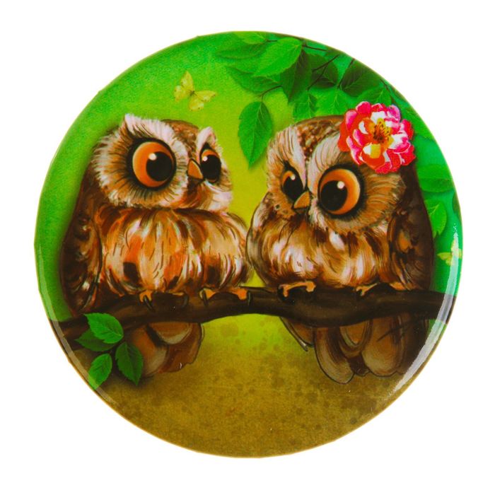 Зеркало "Совы"
