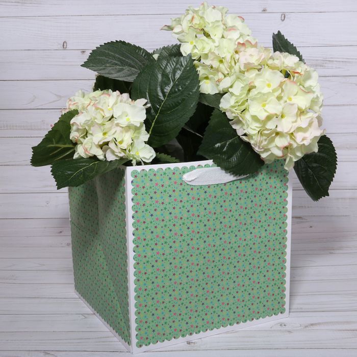 Пакет для цветов "Звёзды", зелёный, 17 х 17 х 17 см