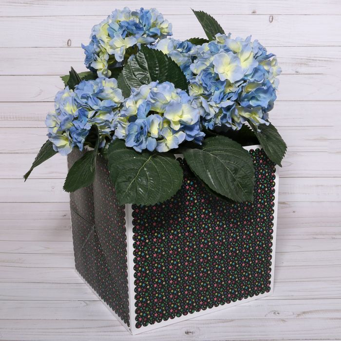 Пакет для цветов "Звёзды", чёрный, 17 х 17 х 17 см