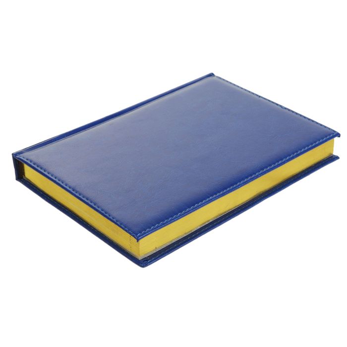 Ежедневник полудатированный, А5, 192 листа, линейка, золотой срез, карты, ляссе, обложка пвх, синий