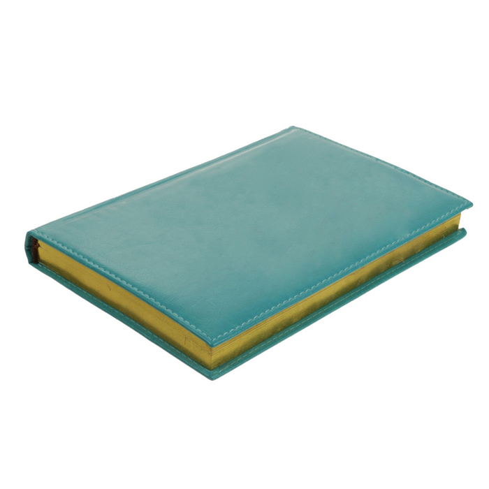 Ежедневник полудатированный, А5, 192 листа, линейка, золотой срез, перфорированный угол, карты, ляссе, обложка пвх, бирюзовый