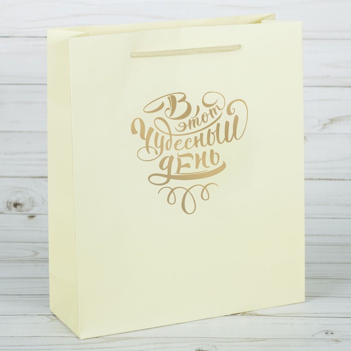 Пакет ламинированный вертикальный с тиснением «В этот чудесный день», MS 18 × 23 × 8 см