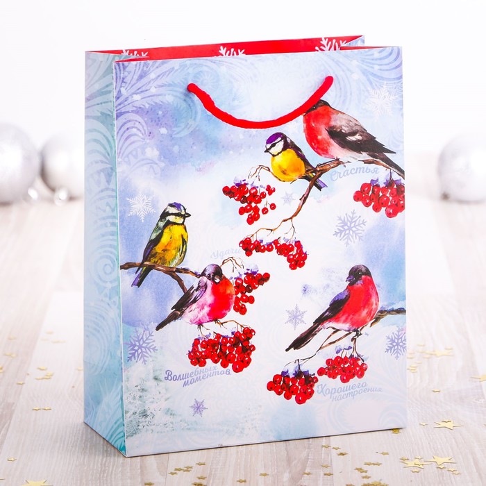 Пакет ламинированный вертикальный «Мороз и солнце», 11 × 14 × 5 см