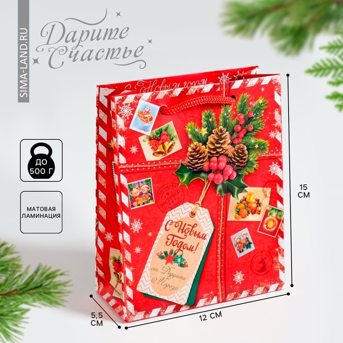 Пакет ламинированный вертикальный «Подарок от Деда Мороза», 12 х 15 х 5,5 см пакет ламинированный вертикальный подарок от деда мороза ms 18 × 23 × 10 см