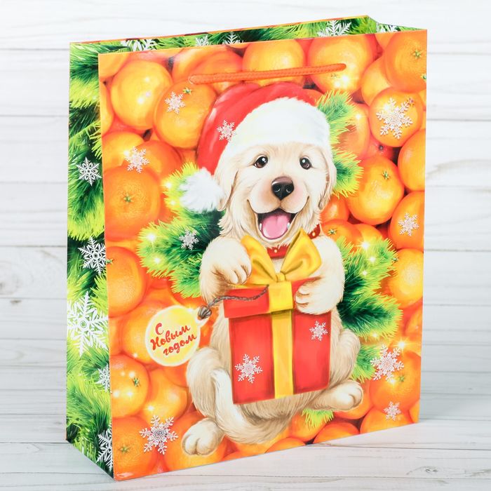 Пакет ламинированный вертикальный «Мандариновый рай», 23 × 27 × 8 см