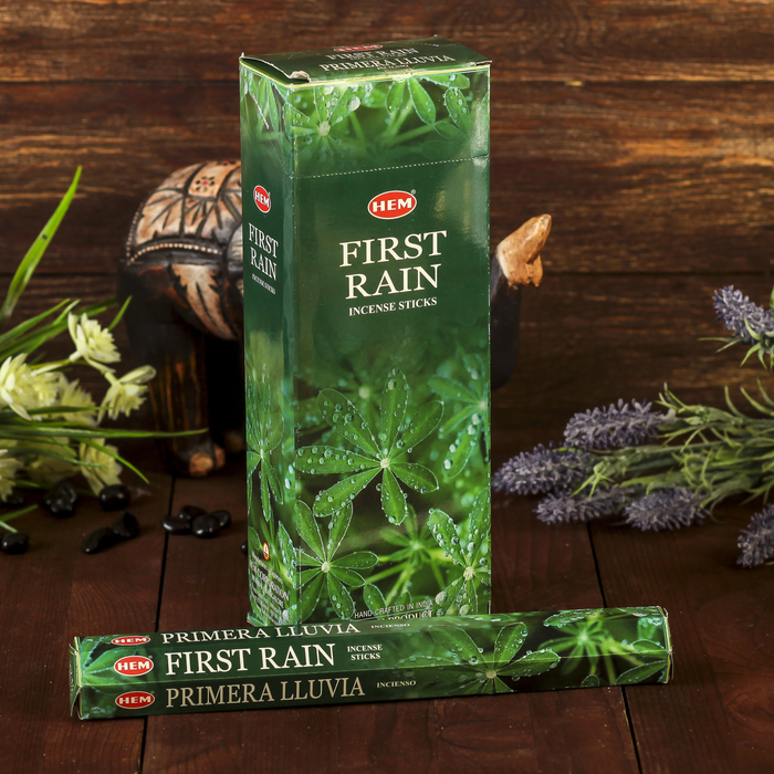 Благовония "HEM" 20 палочек угольные first rain
