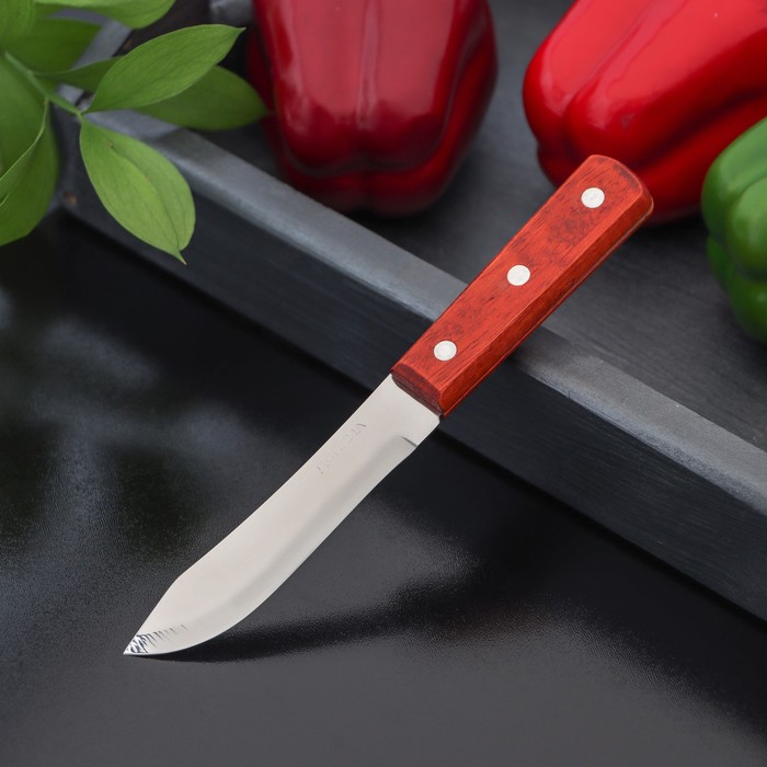 Нож для мяса и стейков Доляна «Мачете», лезвие 10 см
