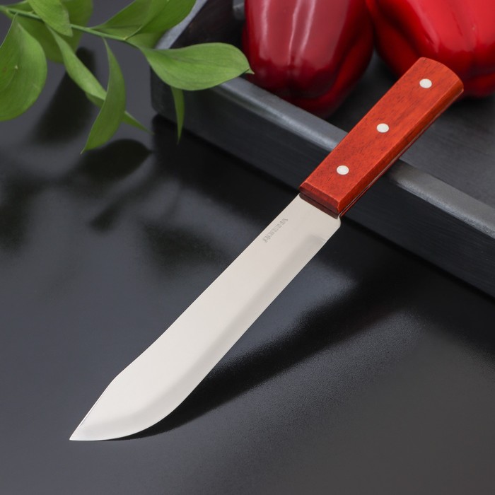 нож для стейков wmf spitzenklasse plus 12 см 1895466032 Нож для мяса и стейков Доляна «Мачете», лезвие 17,5 см