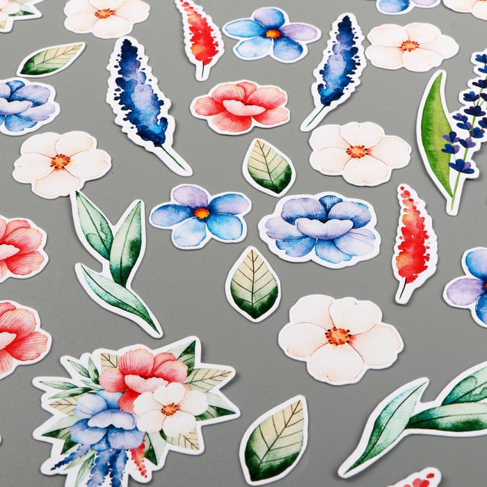 Набор высечек для скрапбукинга "Цветы. Однажды в Париже"