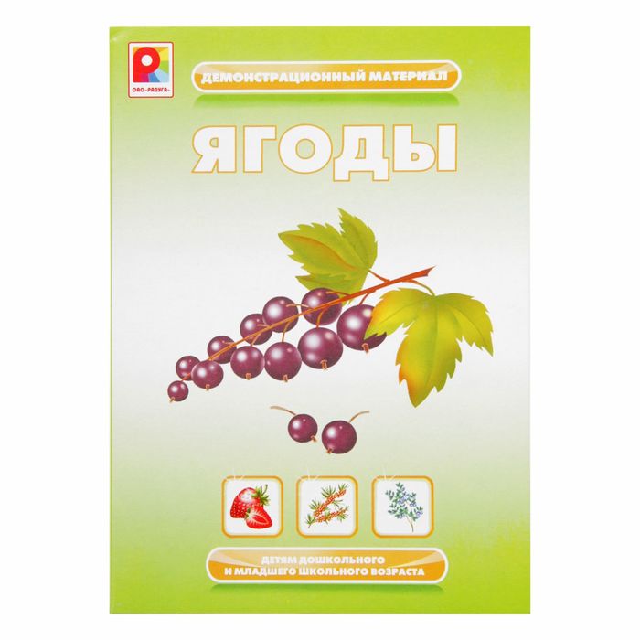 Демонстрационный материал "Ягоды" С788