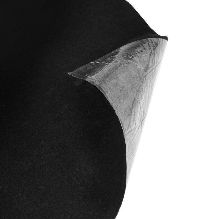 Карпет, чёрный, размер: 1500х2500 мм