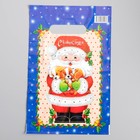 Пакет "Желанный подарок", полиэтиленовый с вырубной ручкой, 20х30 см, 30 мкм