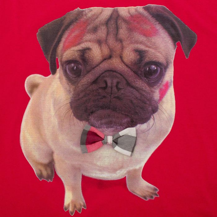 Сорочка женская НС224 цвет МИКС, р-р 54