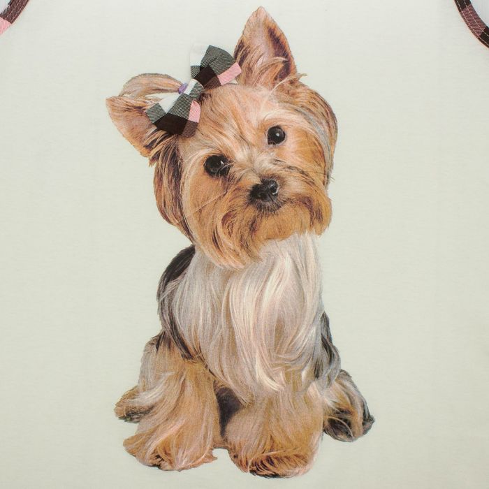 Сорочка женская НС224 цвет МИКС, р-р 54