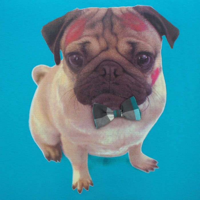 Пижама женская (майка, шорты) ПК222 цвет МИКС, р-р 52