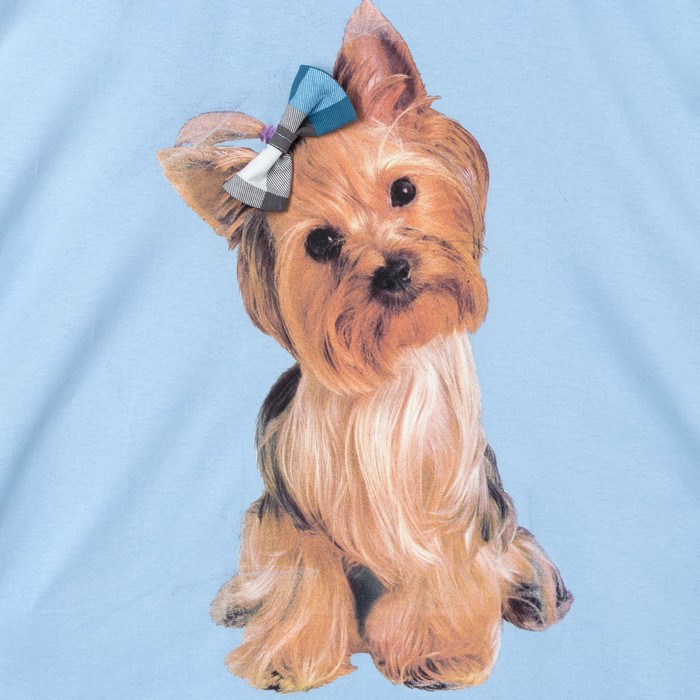 Пижама женская (майка, шорты) ПК222 цвет МИКС, р-р 54