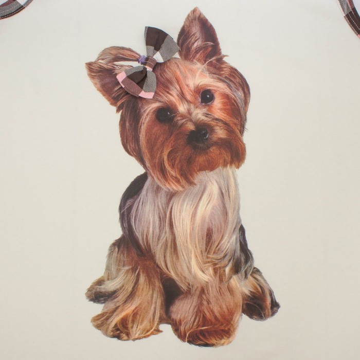 Пижама женская (майка, шорты) ПК222 цвет МИКС, р-р 54