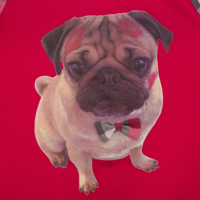 Пижама женская (майка, шорты) ПК222 цвет МИКС, р-р 54