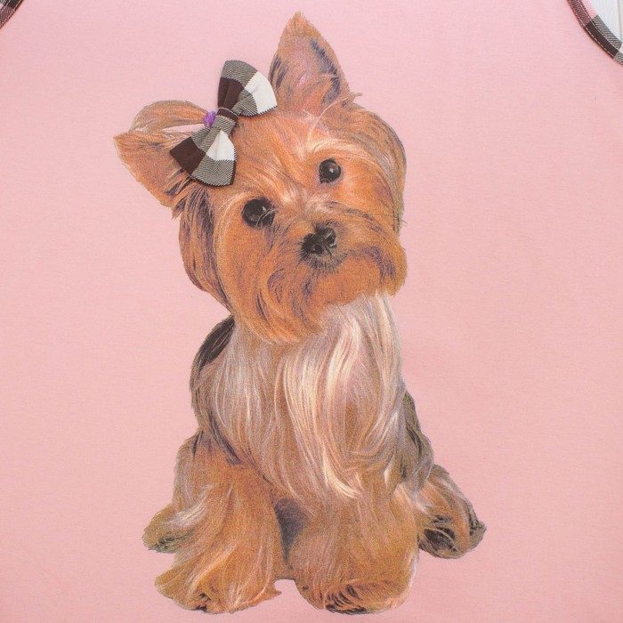 Пижама женская (майка, шорты) ПК222 цвет МИКС, р-р 54