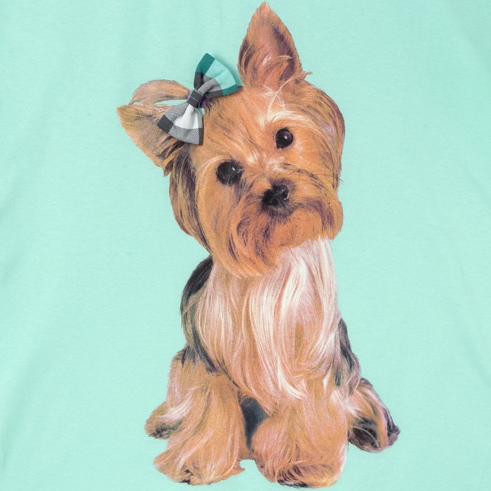 Пижама женская (майка, шорты) ПК222 цвет МИКС, р-р 56