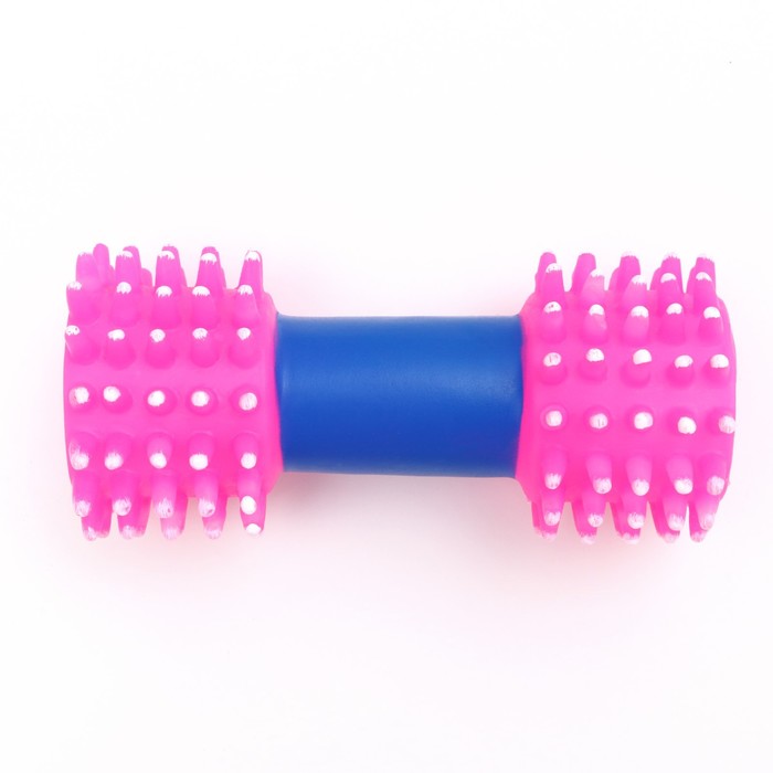 Игрушка для собак пищащая "Массажная гантель", 14 см,