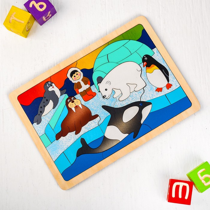 Рамка-вкладыш "На полюсе" 53 детали