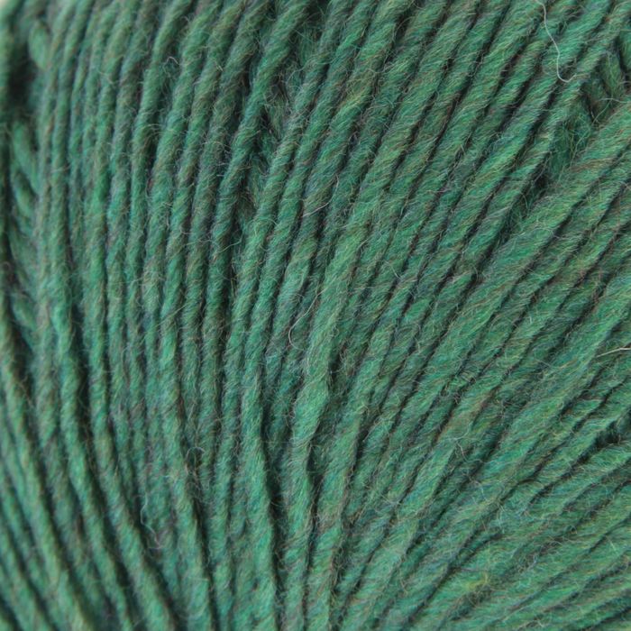 Пряжа "Азалия" 40% мериносовая шерсть, 60% акрил 270м/100гр (5013, мулине)