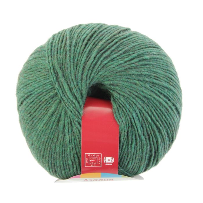 Пряжа "Азалия" 40% мериносовая шерсть, 60% акрил 270м/100гр (5013, мулине)