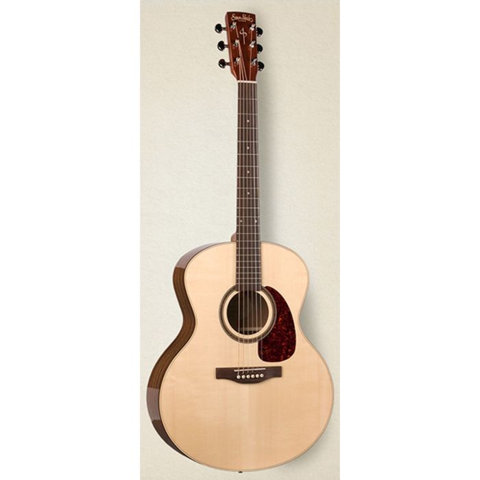 Акустическая гитара Simon & Patrick 033737 Woodland Pro MiniJumbo Spruce HG